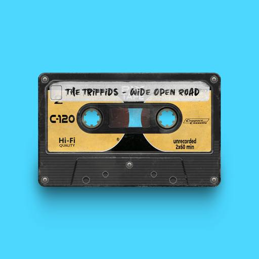 00887 - The Triffids - Wide Open Road